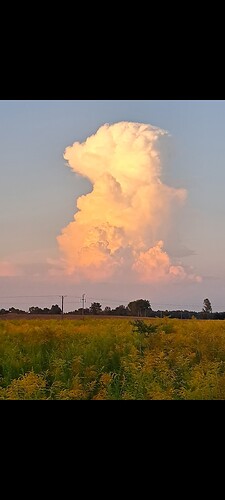 1000016321