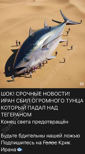 IMG-20250618-WA0007